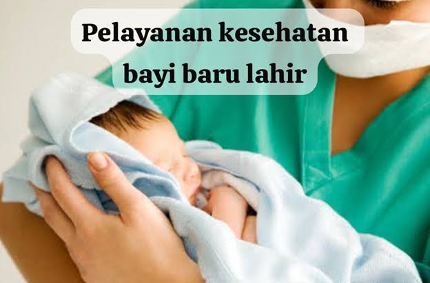 Dinkes Inhil Sampaikan Perhatian Kesehatan Bayi Baru Lahir Sangat Penting