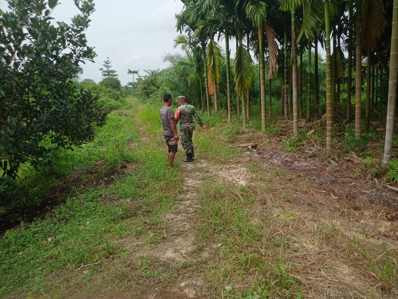 Babinsa Sertu Sareh Lakukan Sosialisasi tentang Bahaya Pembakaran Hutan