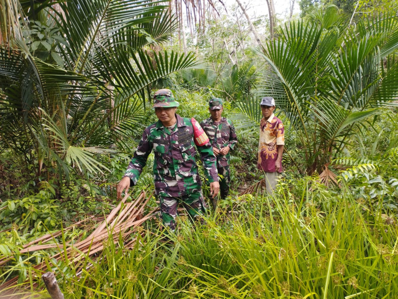 Patroli Rutin Babinsa Koramil 06/Merbau Cegah Kebakaran Hutan di Merbau