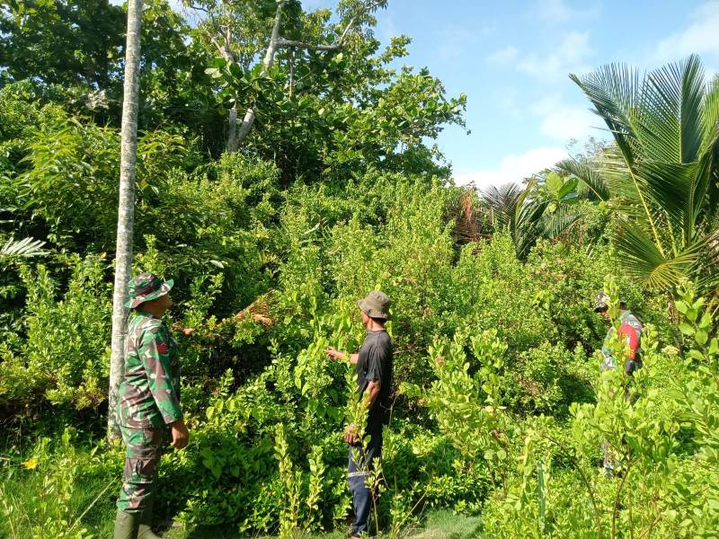 Antisipasi Karhutla, Babinsa Koramil 06/Merbau Aktif Sosialisasi Larangan Bakar Lahan