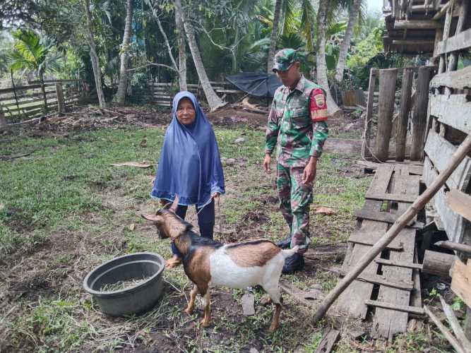 Babinsa Merbau Sosialisasikan Pencegahan PMK