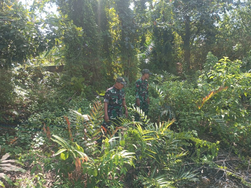 Patroli Rutin Jadi Langkah Strategis Babinsa Hadapi Ancaman Karhutla