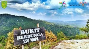 Wisata Bukit Berbunga Desa Batu Ampar Suguhkan Keindahan Alam yang Asri