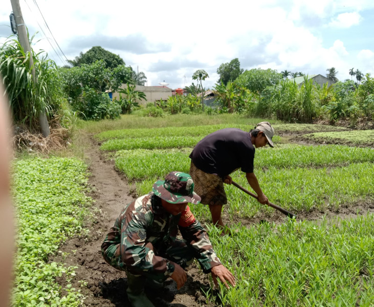 Pembangunan Ekonomi Lokal, Serka Suandi Laksanakan Pendampingan