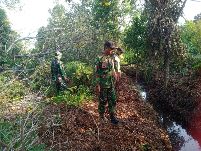 Babinsa Merbau Laksanakan Patroli Cegah Karhutla