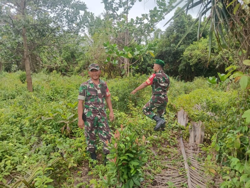 Sertu Edi Pimpin Patroli Karhutla di Desa Tanjung Pisang