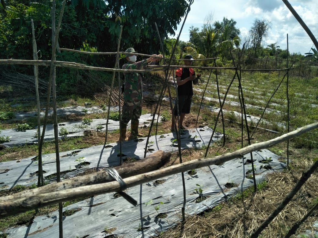 Serda Boby Rahman Lakukan Pendampingan ke Petani Kentang