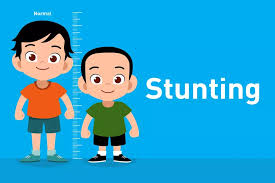 Dinkes Inhil Jelaskan 5 Dampak Utama dari Stunting