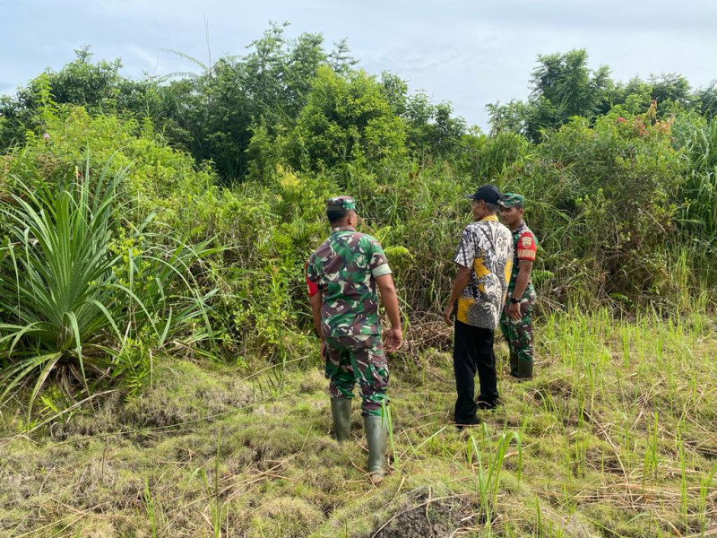 Wujud Nyata Kepedulian Babinsa Koramil 06 Merbau Dalam Mencegah Karhutla