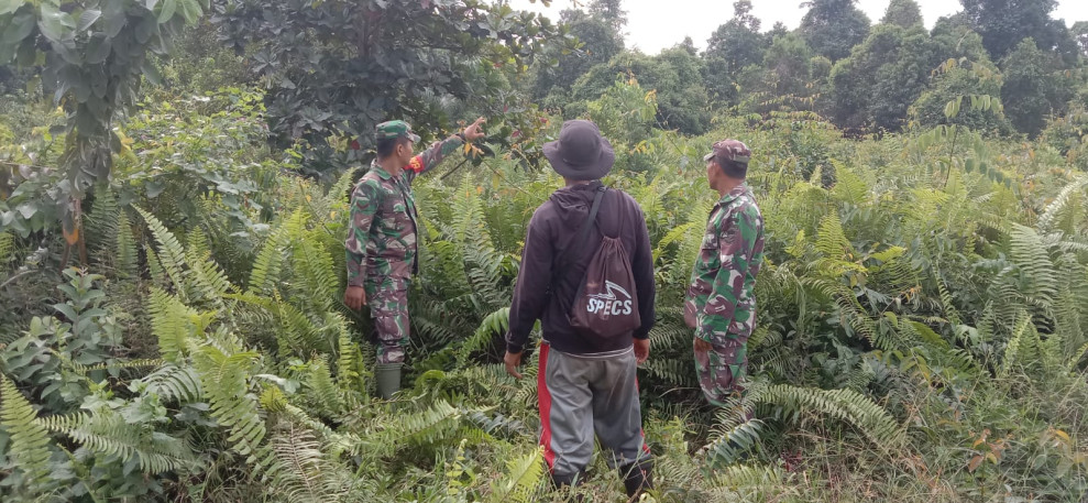 Babinsa Koramil 06/Merbau Gencarkan Patroli Karhutla di Desa Tanjung Padang