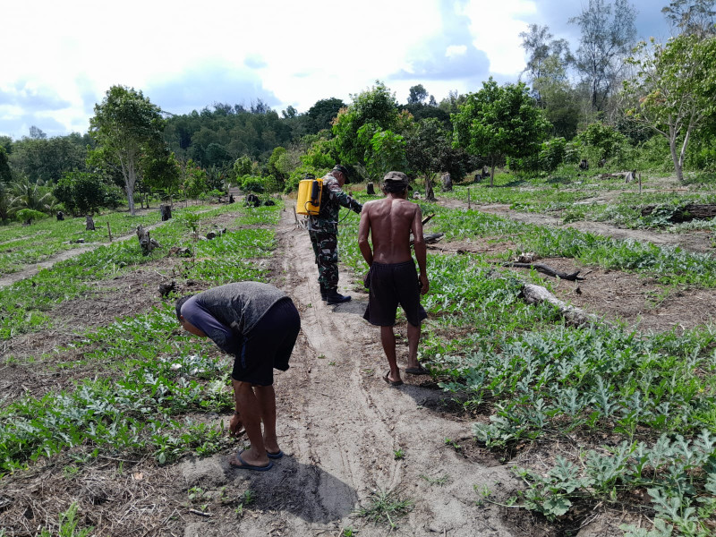 Pendampingan Karya nyata Dilakukan Serma Fahrizal Purba