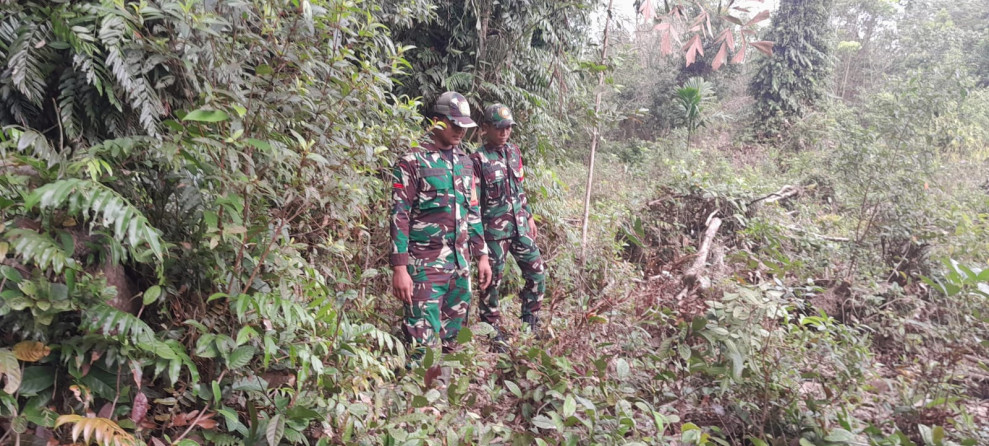 Patroli Babinsa di Semukut, Antisipasi Dini Kebakaran Hutan dan Lahan