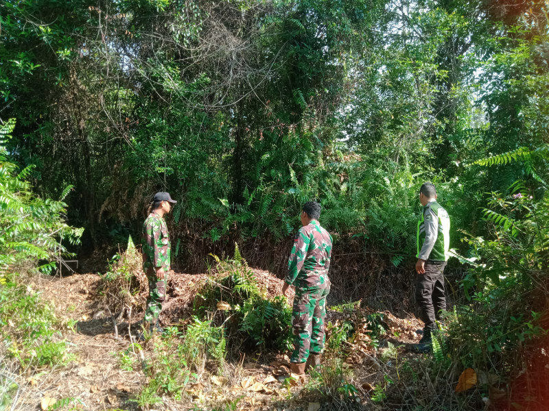 Pencegahan Kebakaran Hutan Terus Dilakukan Oleh Babinsa Koramil 06 Merbau