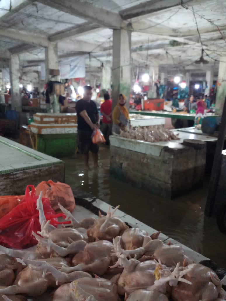 Pedagang Resah, Kalau Pasang Pasar Ikan Terapung Tenggelam