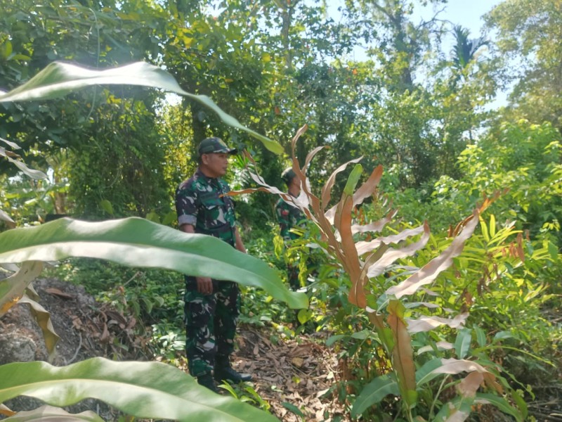 Cegah Karhutla, Babinsa Koramil 06/Merbau Gencar Lakukan Patroli dan Komsos