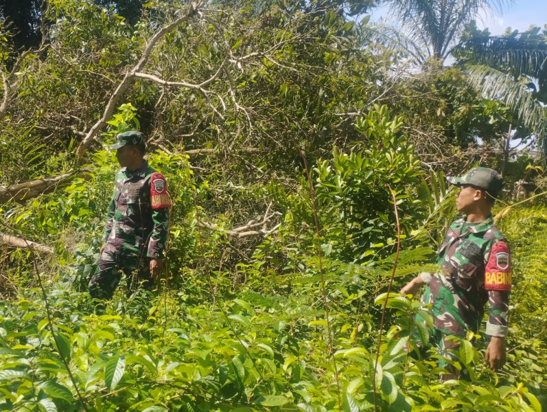 Babinsa Koramil 06/Merbau Gencar Patroli Karhutla untuk Cegah Kebakaran