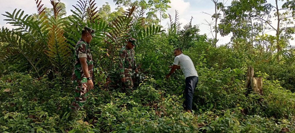 Himbauan Babinsa Koramil 06 Merbau Kepada Masyarakat Untuk Mencegah Karhutla