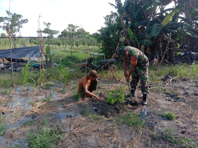 Dalam Rangka Meningkatkan Pendapatan Petani, Serda Agustinus Sampaikan Pesan Ini