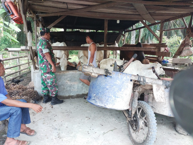 Giat Serka Khorianto Dalam Mencegah PMK