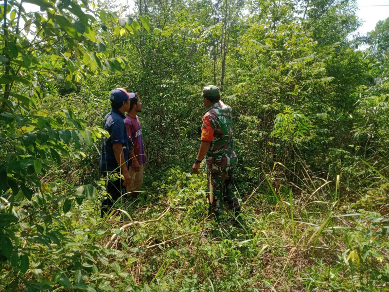 Babinsa Koramil 01 Laksanakan Monitoring Wilayah