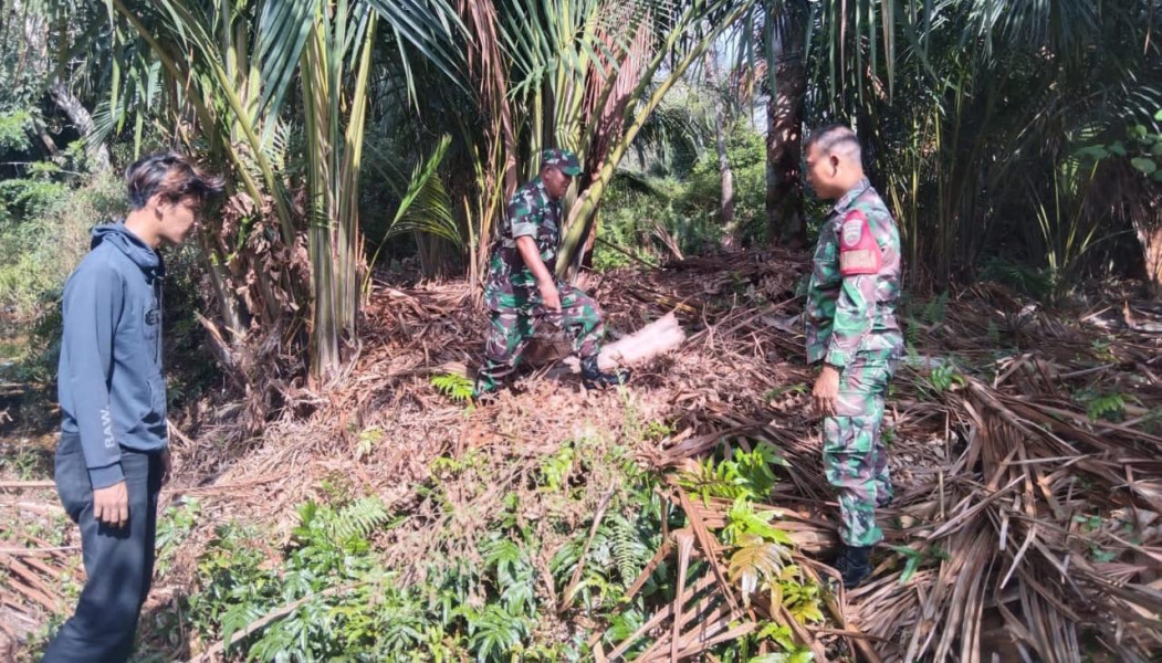 Babinsa Koramil 06/Merbau Intensifkan Patroli Karhutla di Desa Bandul