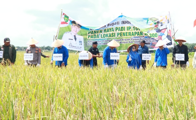 Panen Raya IP 300, Bupati Inhil Optimis Pertanian Kempas Terus Melaju