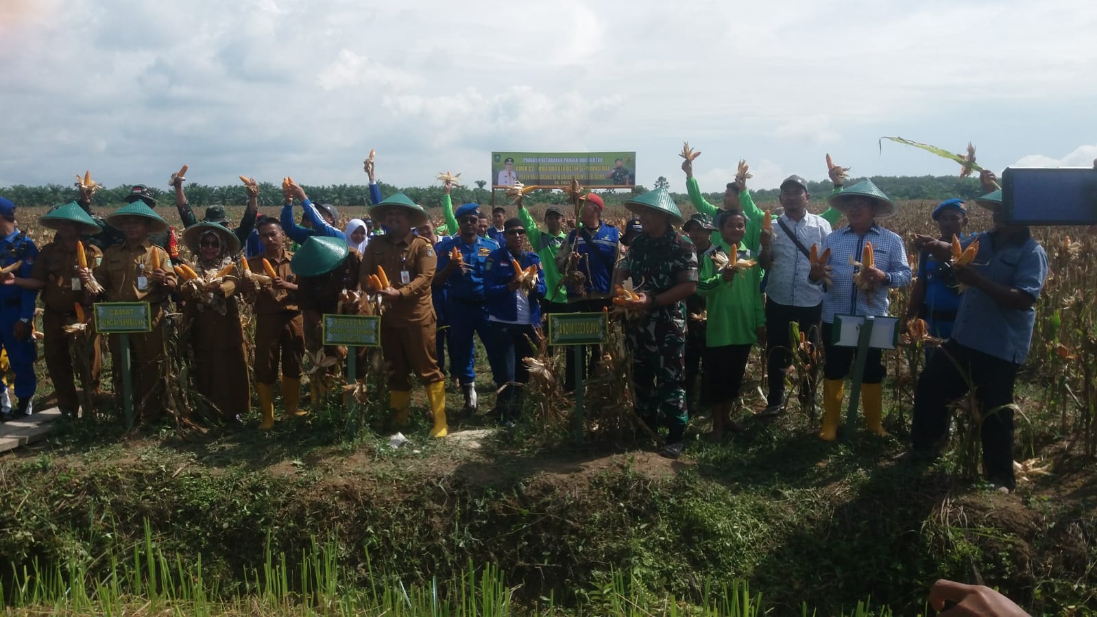 Jaga Ketahanan Pangan, Kodim 0320/Dumai Gelar Panen Raya