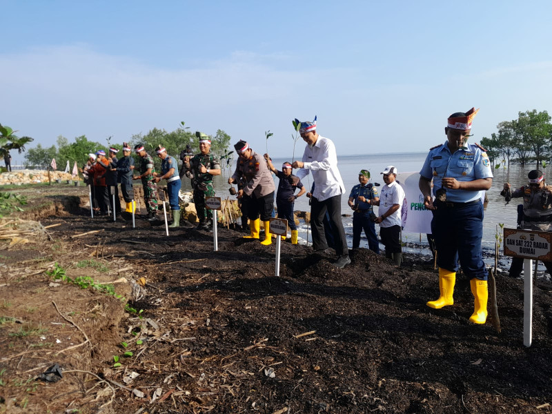 Kapten Arh M.I Daulay Hadiri Acara Penanaman Mangrove