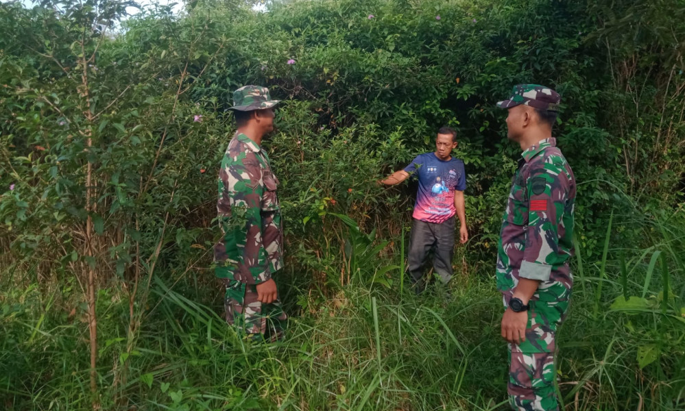 Patroli Guna Pencegahan Dini Karhutla Oleh Babinsa Koramil 06 Merbau