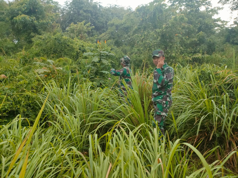 Sisir Wilayah Binaannya, Babinsa Koramil 06 Merbau Harapkan Sinergitas Dengan Masyarakat Dalam Mengantisipasi Karhutla