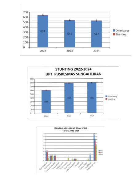 Hasil Analisis Data Pengukuran Stunting Tingkat Kecamatan Gaung Anak Serka Tahun 2024