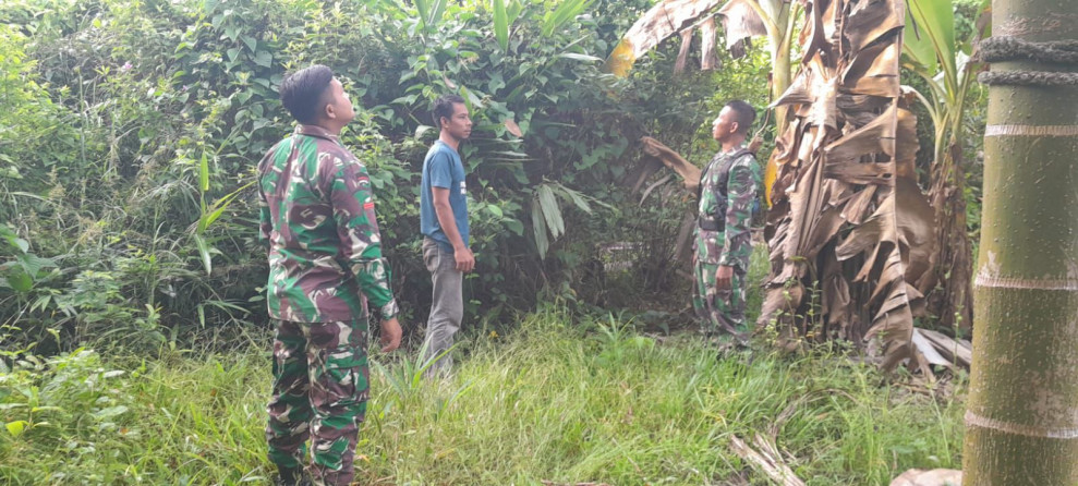 Patroli Karhutla Babinsa Guna Pastikan Tidak Ada Titik Api di Desa Renak Dungun