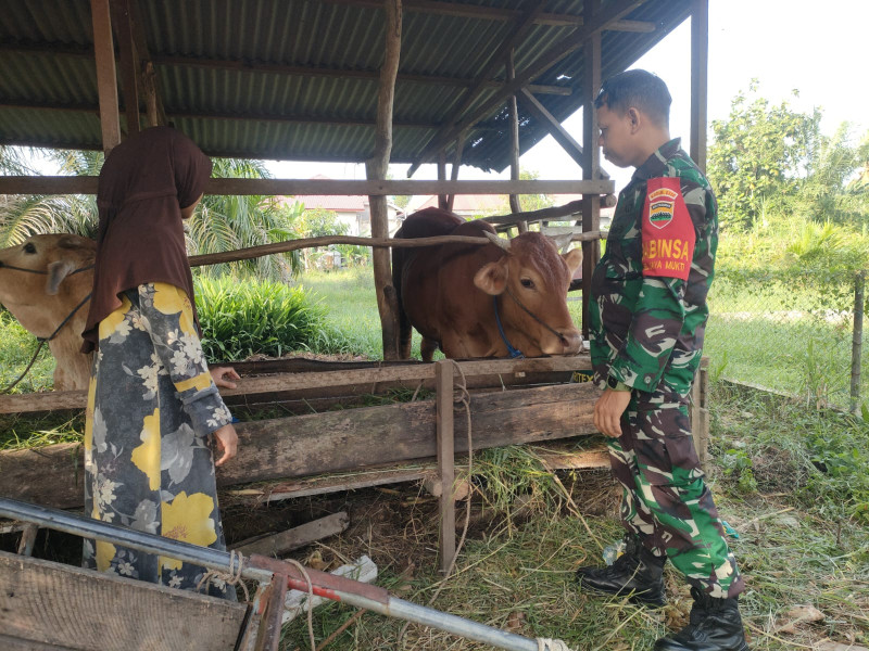 Sertu Sutarno Giat Sosialisasi Cegah PMK di Dumai Timur