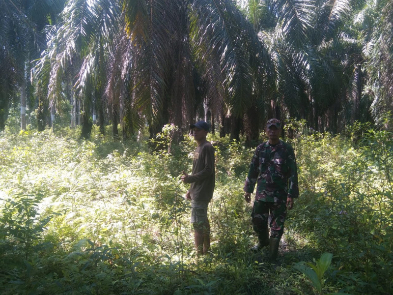 Serda Erwan Himbau Masyarakat Waspada Bahaya Karhutla dalam Sosialisasi