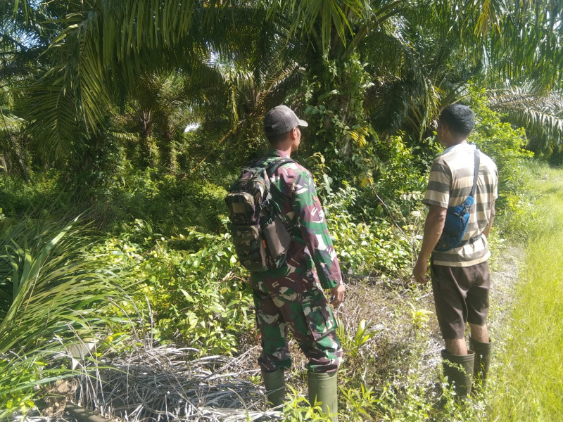 Patroli Rutin Koptu Erwan, Upaya Cegah Kebakaran Hutan di Sei Sembilan