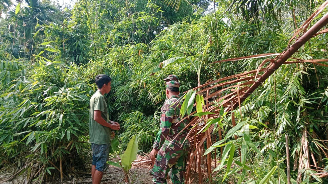 Babinsa Koramil 06/Merbau Intensifkan Patroli Karhutla di Desa Baran Melintang