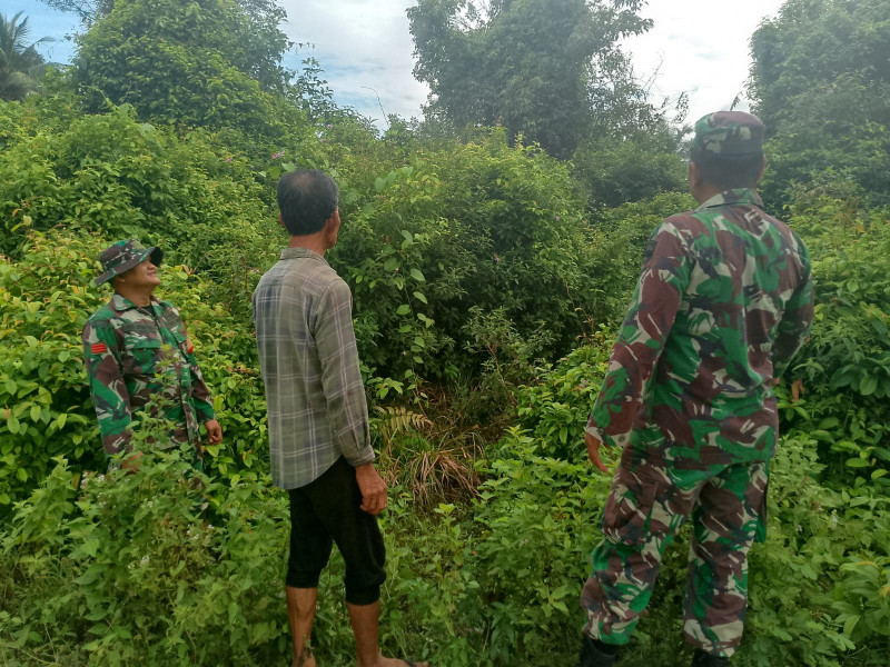 Babinsa Koramil 06/Merbau Gencarkan Patroli dan Komsos Karhutla di Desa Semukut