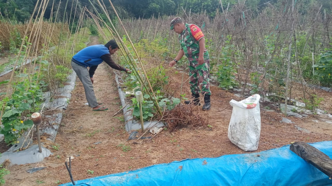 Pastikan Petani Dapatkan Edukasi Yang Baik, Sertu Sareh Laksanakan Komsos