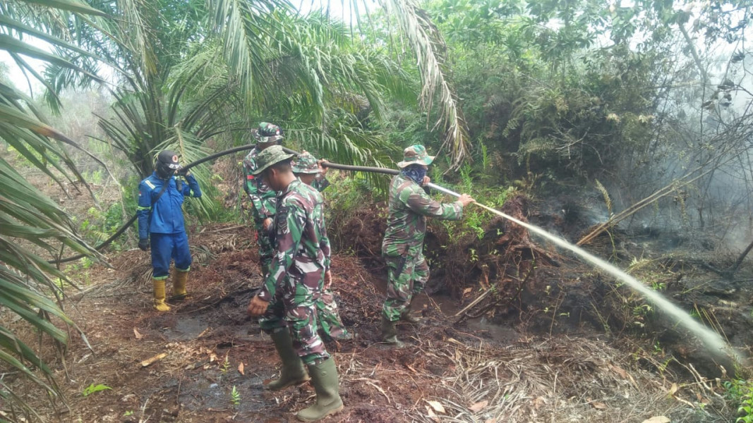 Bersama Personilnya, Danramil PWK 04 Laksanakan Giat Pendinginan Lahan