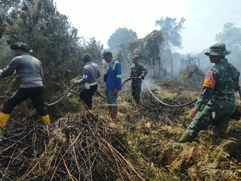 TNI Bersama Warga Padamkan Kebakaran Hutan dan Lahan di Sungai Sembilan