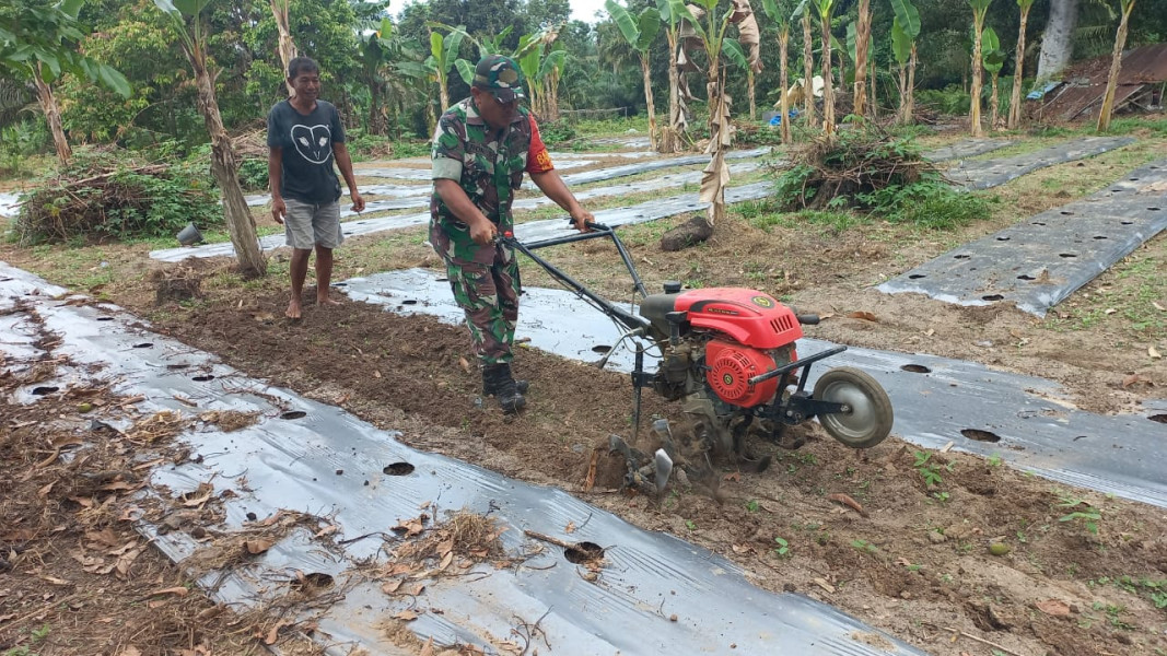 Serda Roni Sandra Melaksanakan Pendampingan Karya Nyata Tanaman Terong