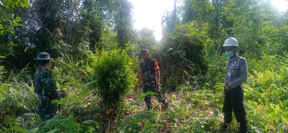 Pelaksanaan Pencegahan Karhutla Oleh Personil Koramil 06 Merbau