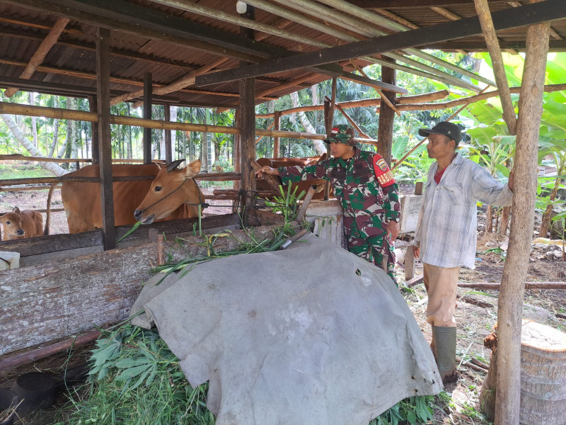 Koramil-01/Dumai Aktif Edukasi Warga Terkait Penyakit Mulut dan Kuku