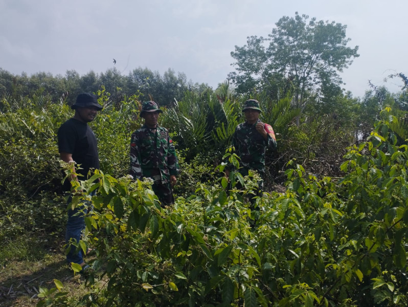 Personil Babinsa Koramil 06 Merbau Laksanakan Peninjauan Lahan