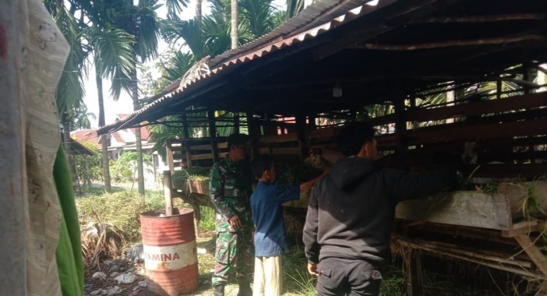 Babinsa Koramil 01/Dumai Sosialisasikan Pencegahan PMK kepada Peternak Kambing