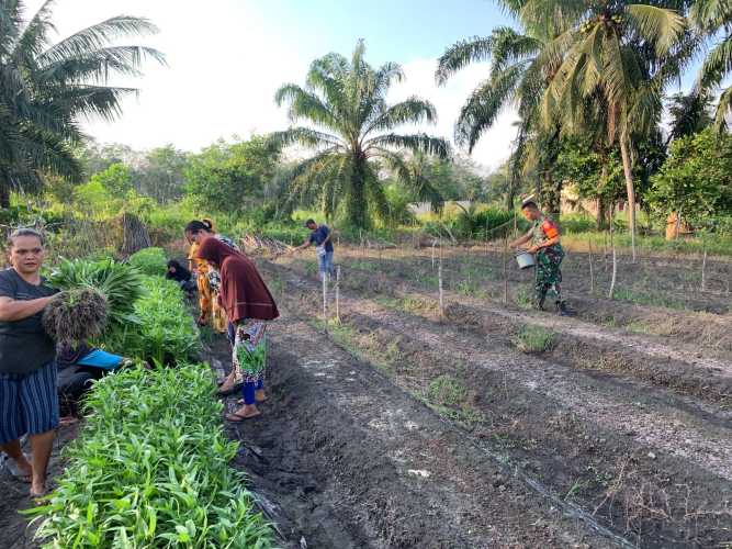 KWT Anggrek Mendapatkan Edukasi Dari Serka Tomy Mike