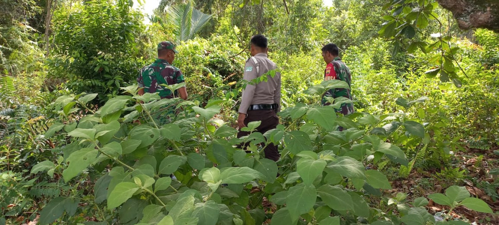 Pengamanan Wilayah Dari Bahaya Karhutla Oleh Babinsa Koramil 06 Merbau