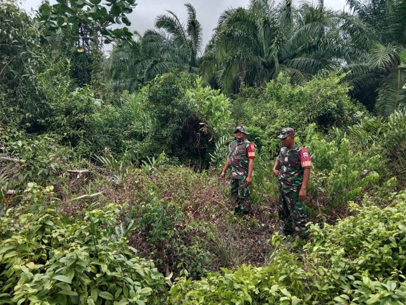 Babinsa Koramil 06/Merbau Gencarkan Patroli dan Sosialisasi Cegah Karhutla di Desa Tanjung Padang