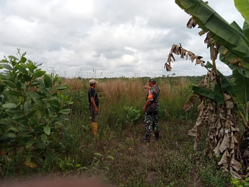 Giat Patroli Oleh Serka Fahrizal Purba