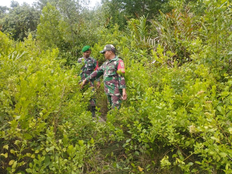 Patroli Rutin Babinsa Tekan Resiko Karhutla di Kepulauan Meranti